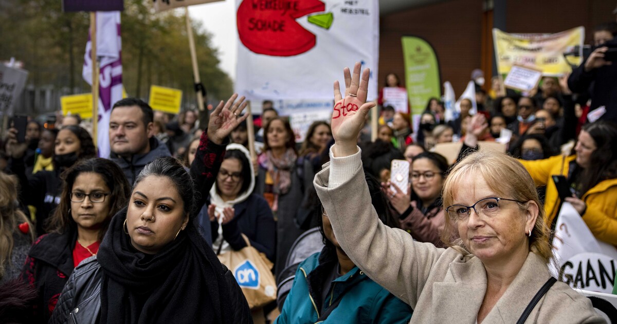 Raad Van State Negeerde Kritiek Op Handelen In Toeslagenaffaire Uit