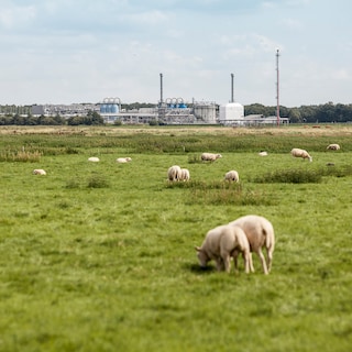Kabinet wil strategische gasvoorraad en eerlijkere kosten