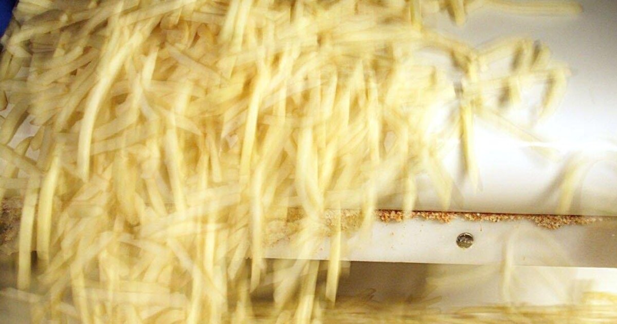 Eerste slachtoffer sancties Rusland: Farm Frites uit Oudenhoorn (NH)