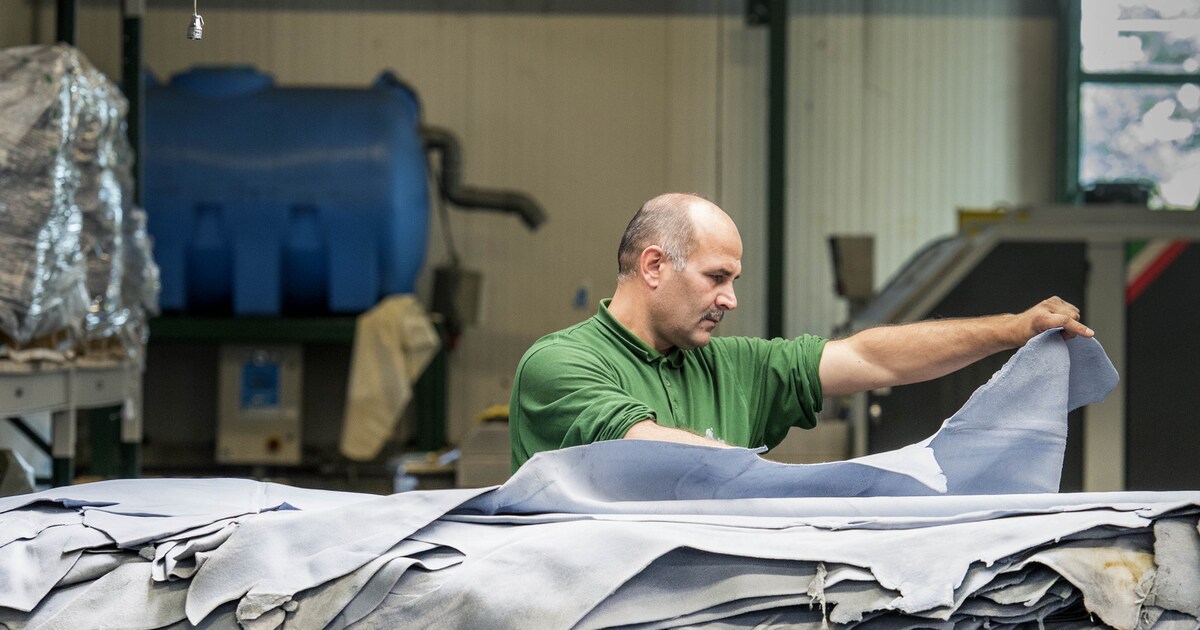 Tussen kalfsslachterij en Louis Vuitton | de Volkskrant