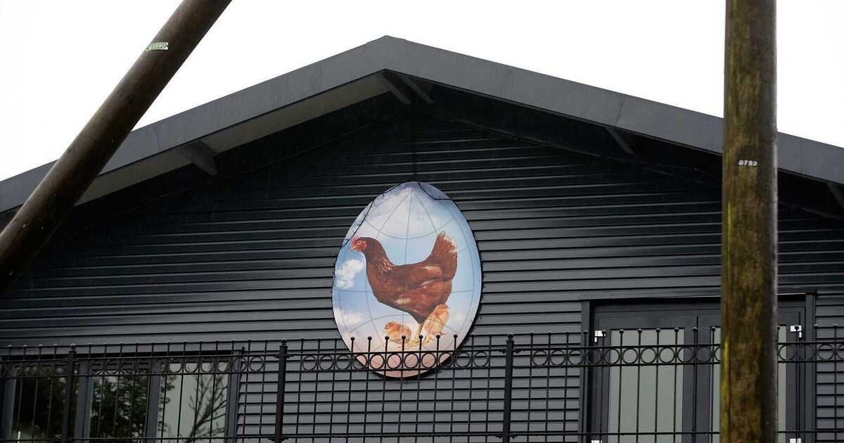 EU wil Nederlandse export aan banden leggen om vogelgriep