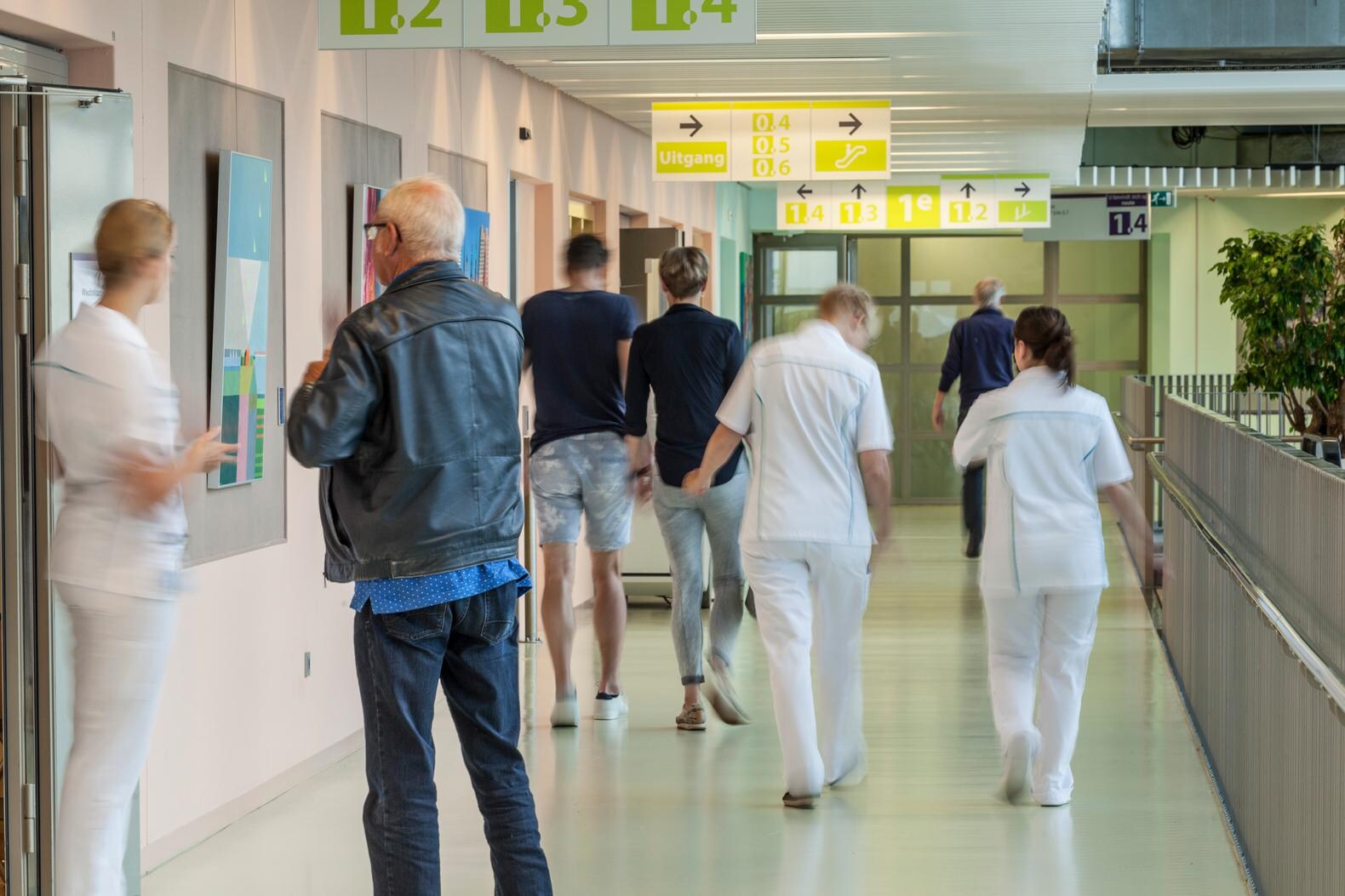 Gezondheidseconoom Wim Groot: 'Verrast door premieverlaging DSW, maar het is vermoedelijk eenmalig'