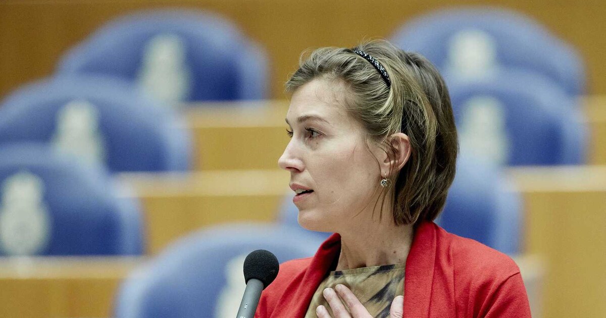 Corinne Ellemeet: 'In mijn samenleving is plek voor V&D'