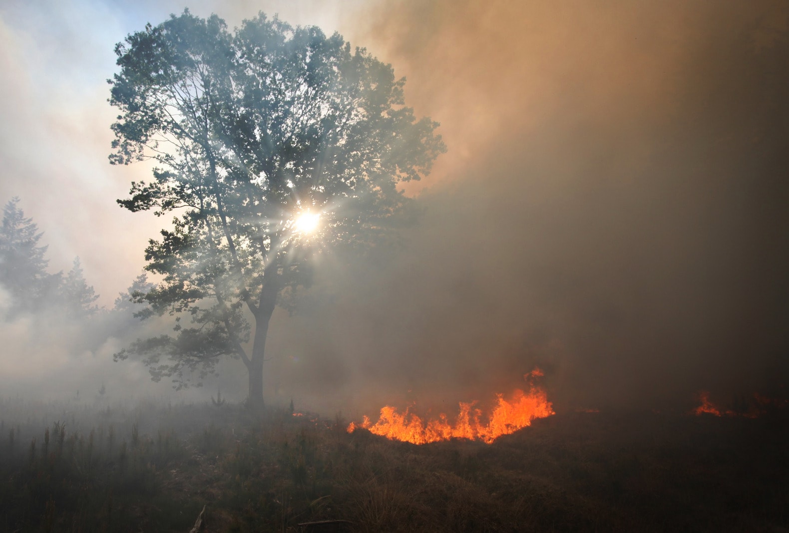 In Brabant woedde in mei een zeer grote natuurbrand.