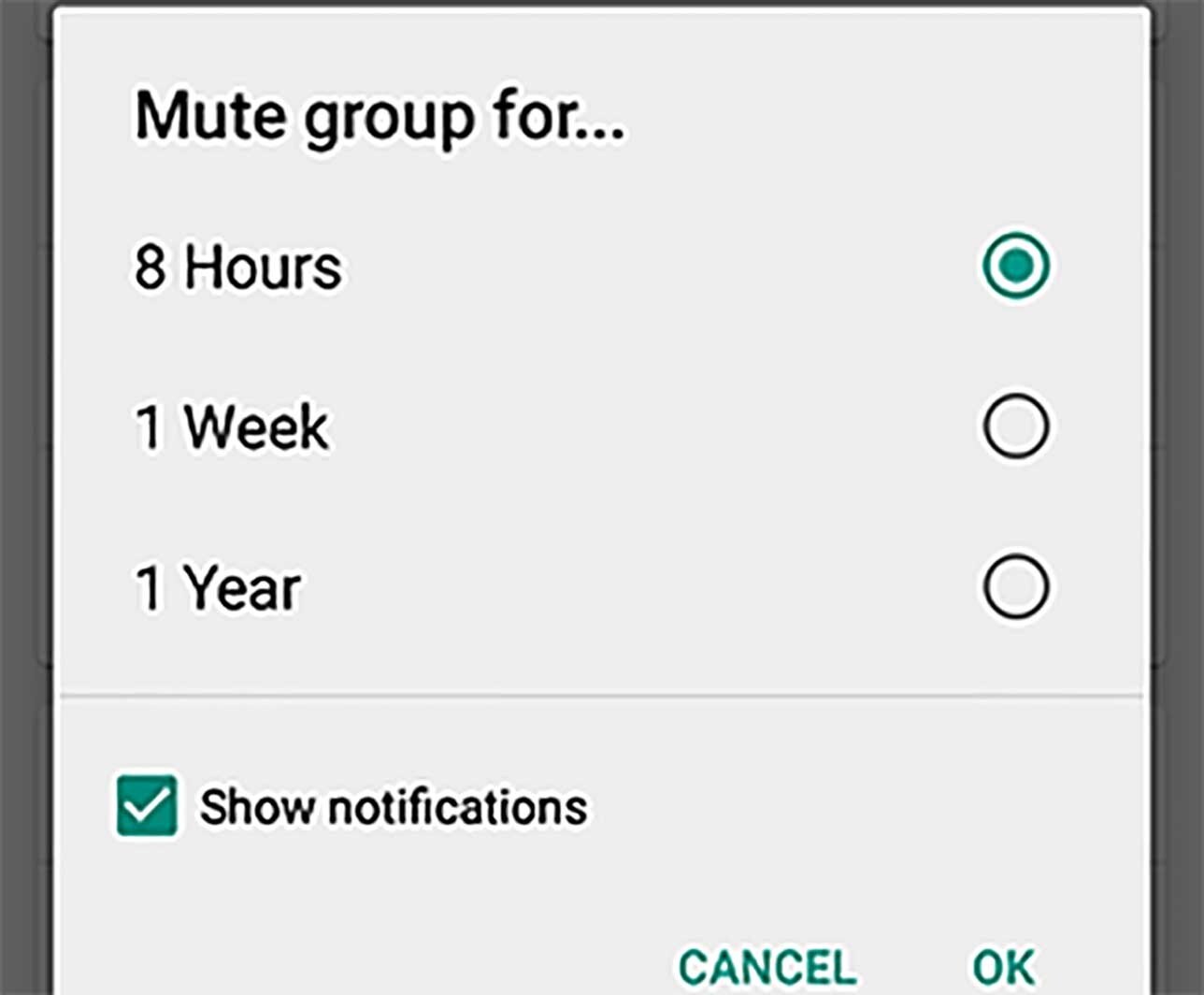 Optie om voor bepaalde tijd geen notificaties te krijgen van specifieke gesprekken.