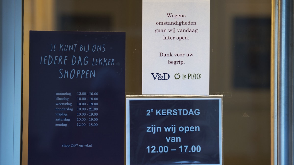 Wijdemans alkmaar online