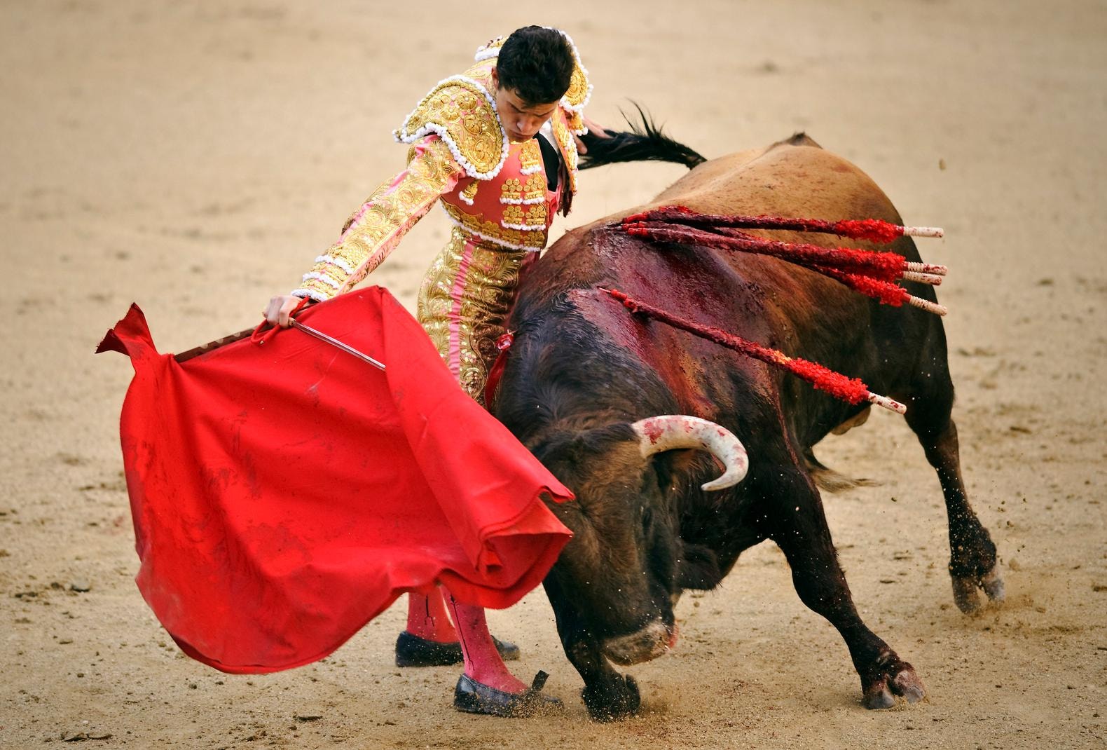 Verbod op stierenvechten Catalonië ongedaan gemaakt