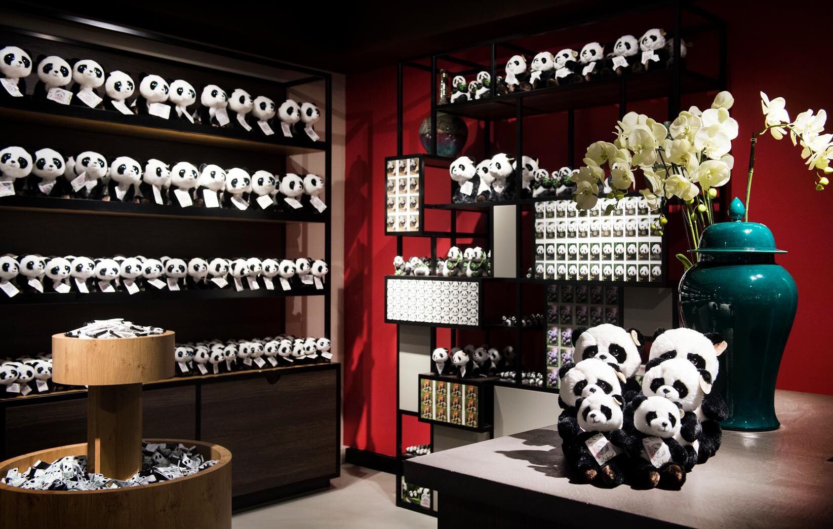 Panda's zijn niet lief, het zijn luie, obese sukkels | de Volkskrant