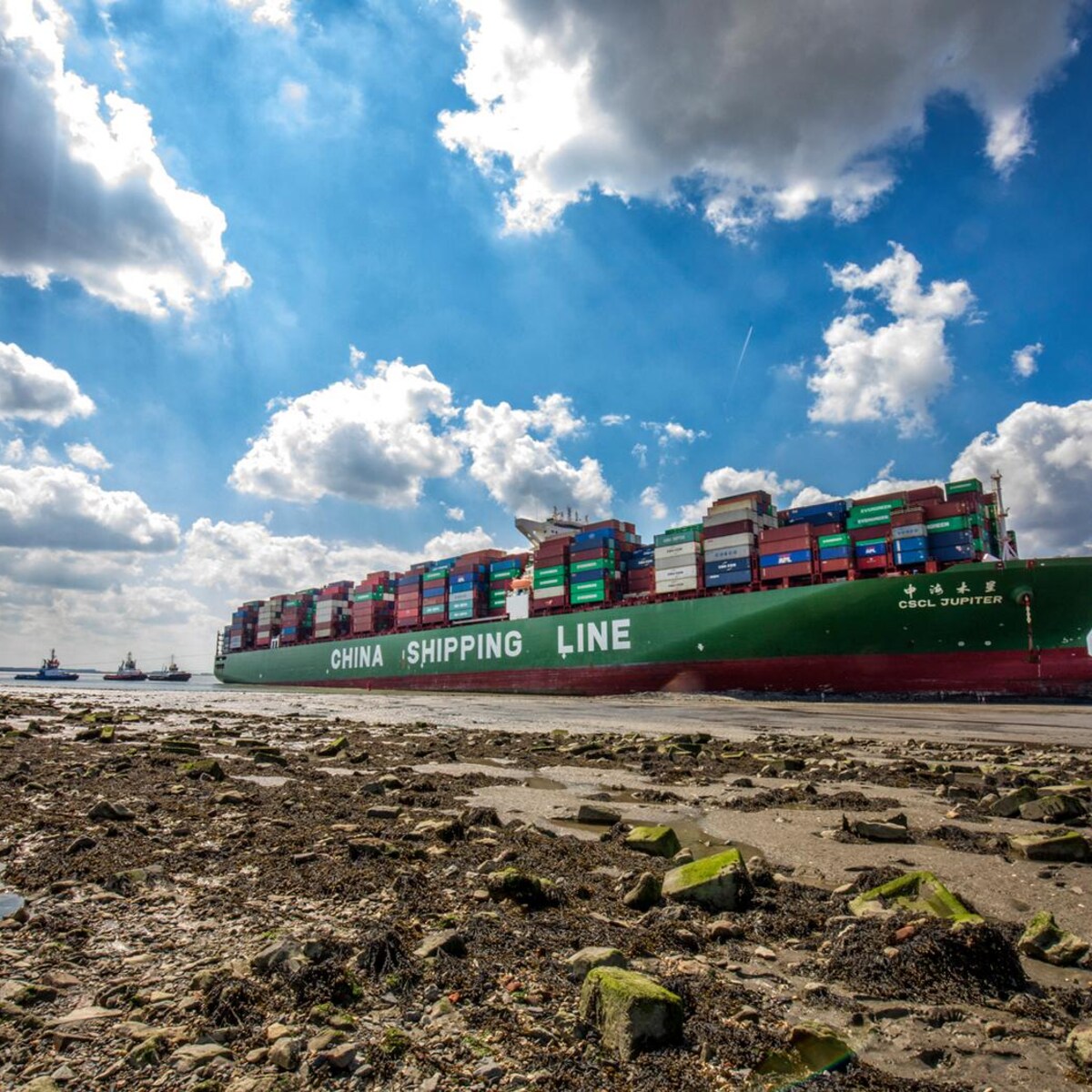 Containerschip vast op Westerschelde: doorgang grote schepen van en naar  Antwerpen geblokkeerd | de Volkskrant