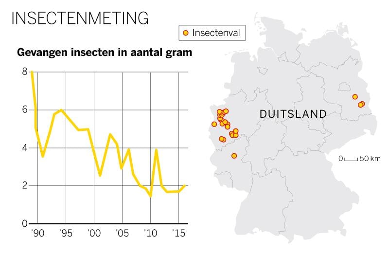 Reden tot zorg: dramatische afname aantal insecten