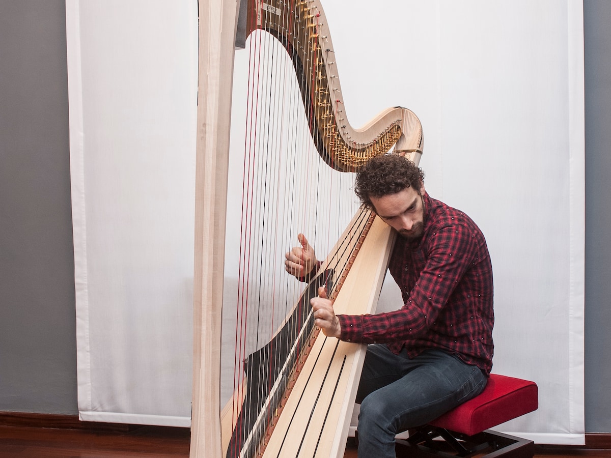 Harp - Muziekschool Scherpenzeel