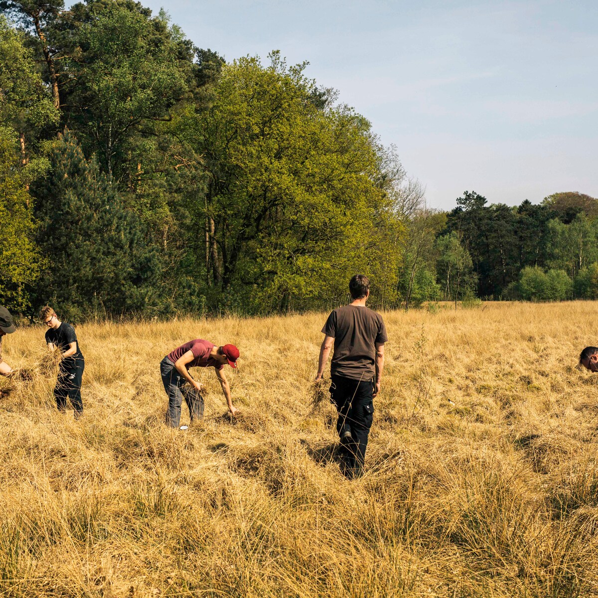 Hoe je als stadsmens het bos overleeft | de Volkskrant