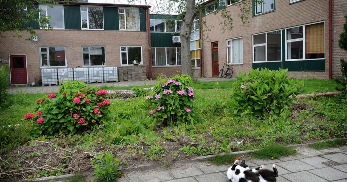Stichting In De Vrijheid 'Tonnen aan misbruik van pgb's bij Zeeuws afkickcentrum' | de Volkskrant