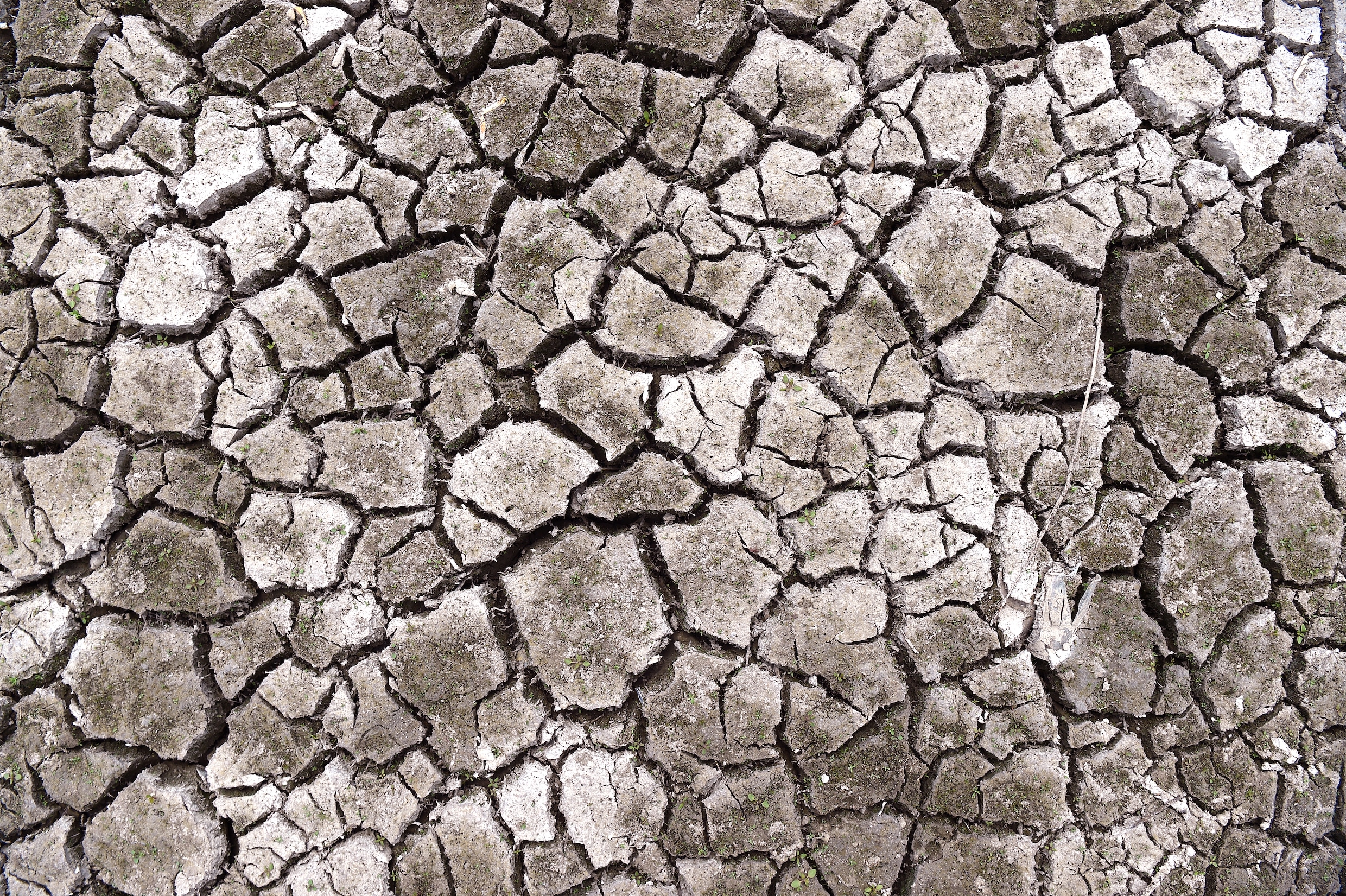 Opinieblog – Lezers over de droogte: ‘Eens in de twee dagen kort ...