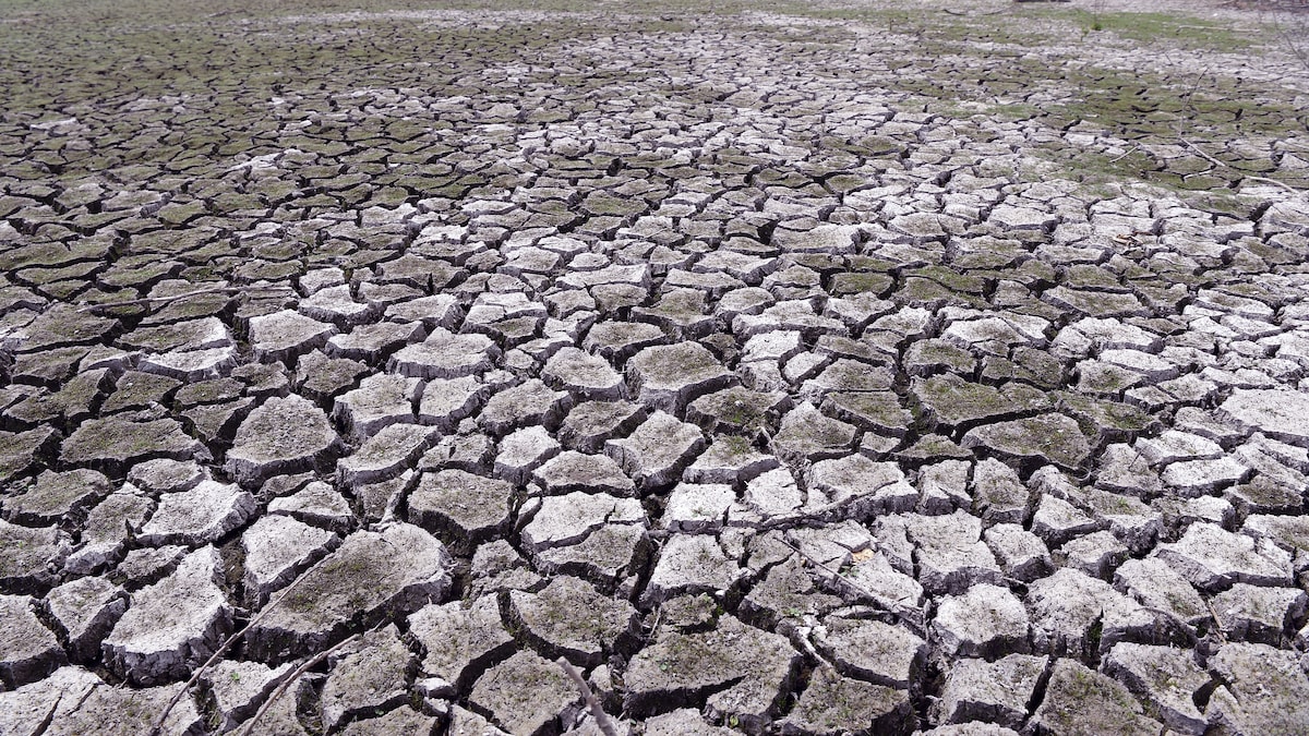 Tekort aan neerslag in Nederland dreigt alleen maar groter te worden | de Volkskrant