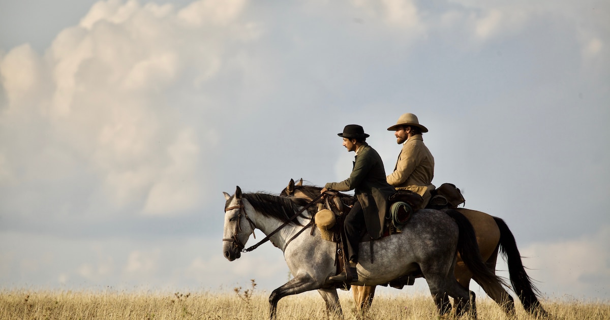 De Zwartkomische, Grillige Western The Sisters Brothers Zet Zaken Met ...