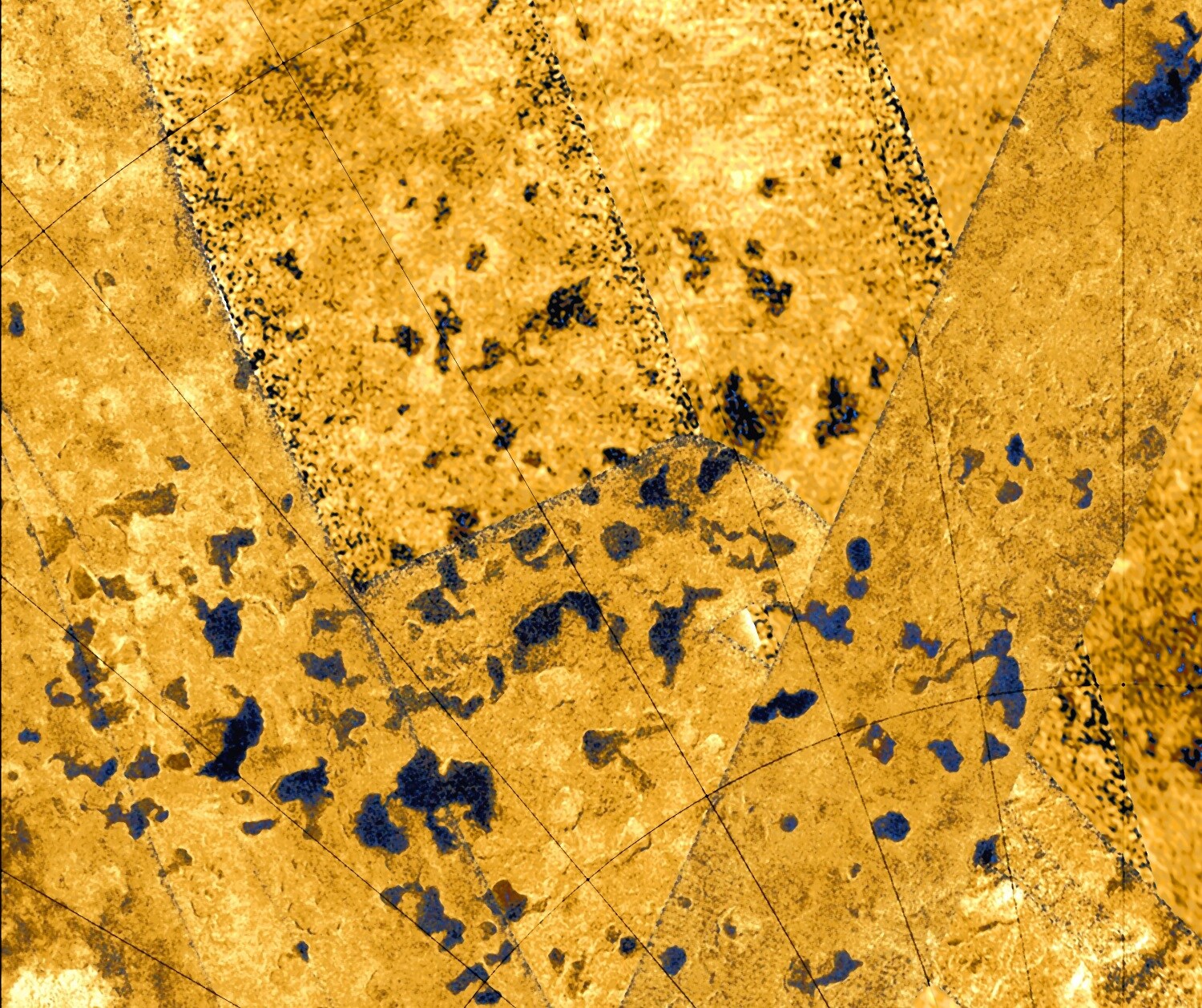 Goudmaan Titan in beeld