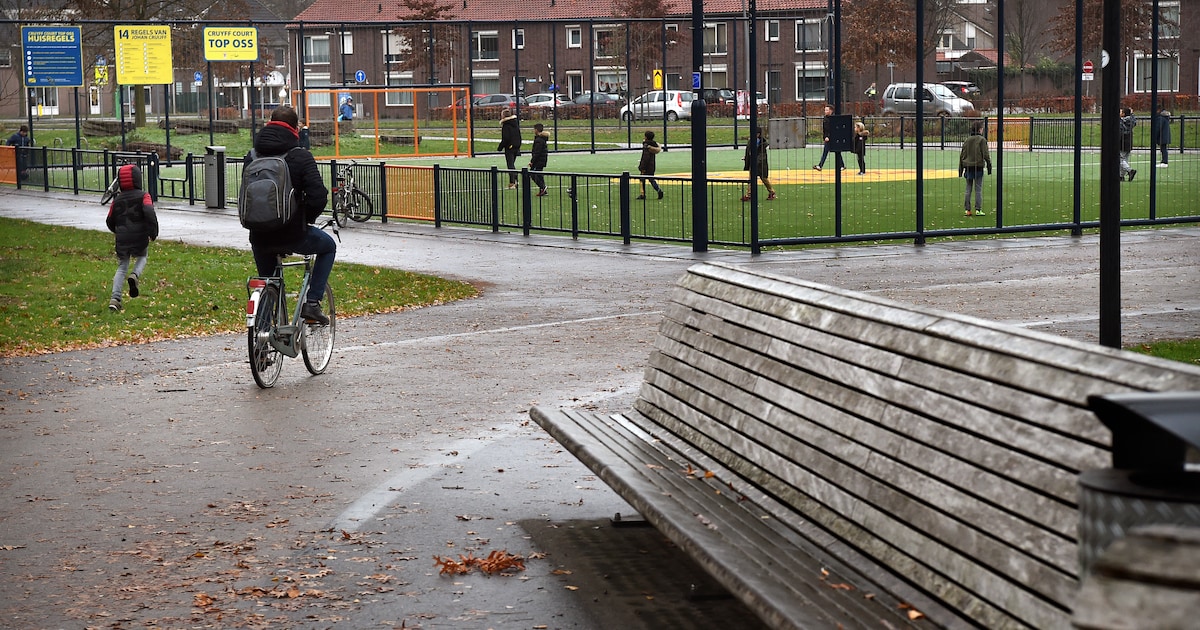Oss is terreur in Vogelbuurt zat: ‘Ik voel me best onveilig en ga ’s avonds liever niet meer over st