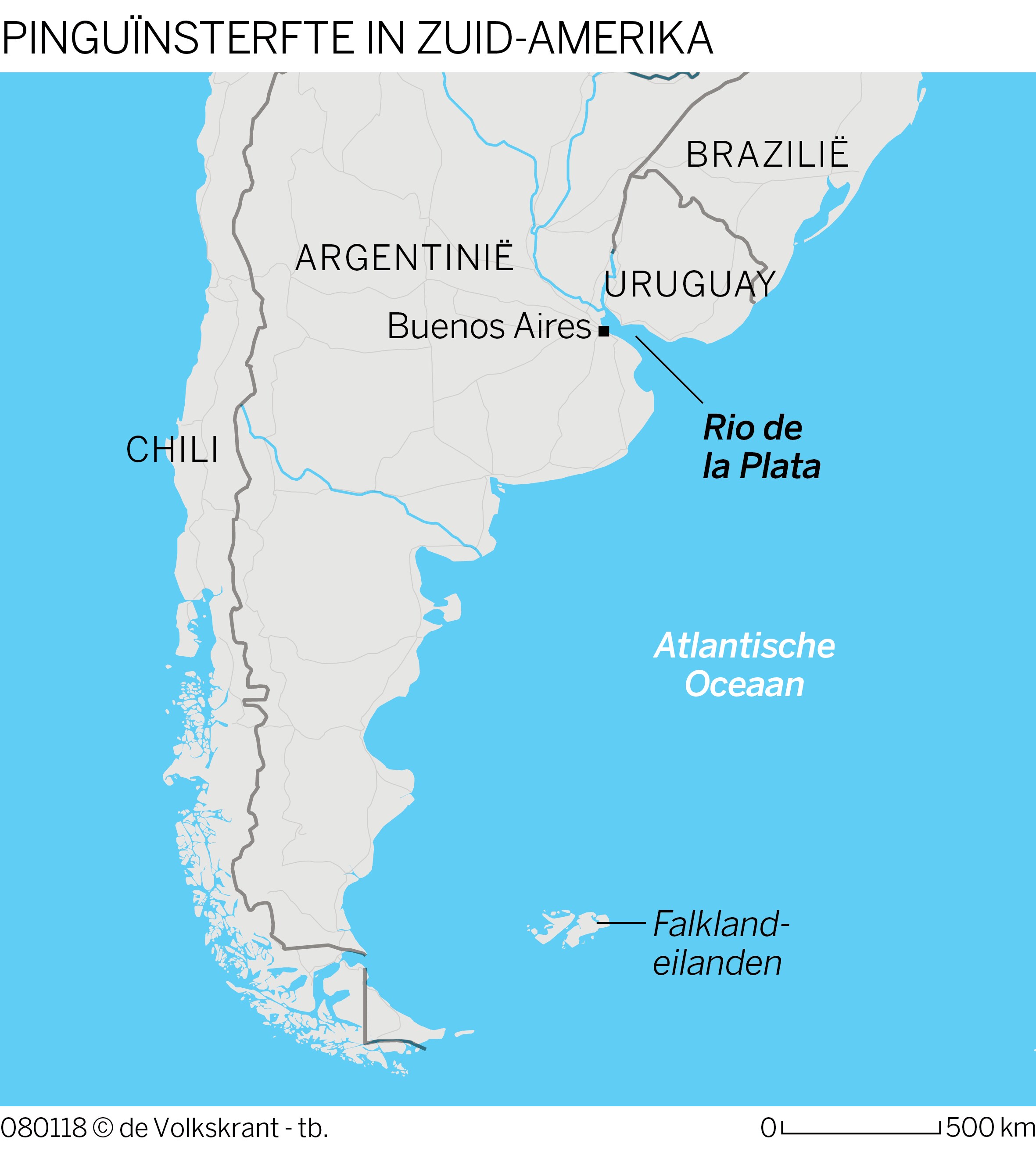 Eindelijk snappen wetenschappers waarom vrouwtjespinguïns massaal stranden in Zuid-Amerika