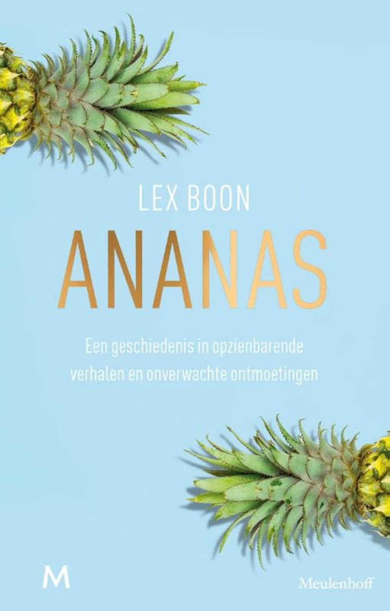 Hoe Lex Boons liefdesverdriet resulteerde in een heerlijk lezend boek over ananas (vier sterren)