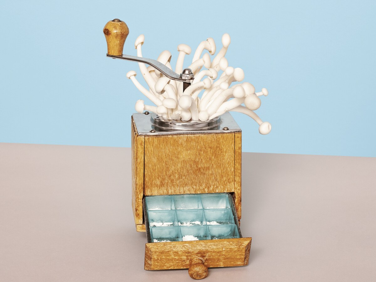 ZELF MICRODOSEREN MET PADDO’S: HOE GA JE TE WERK?