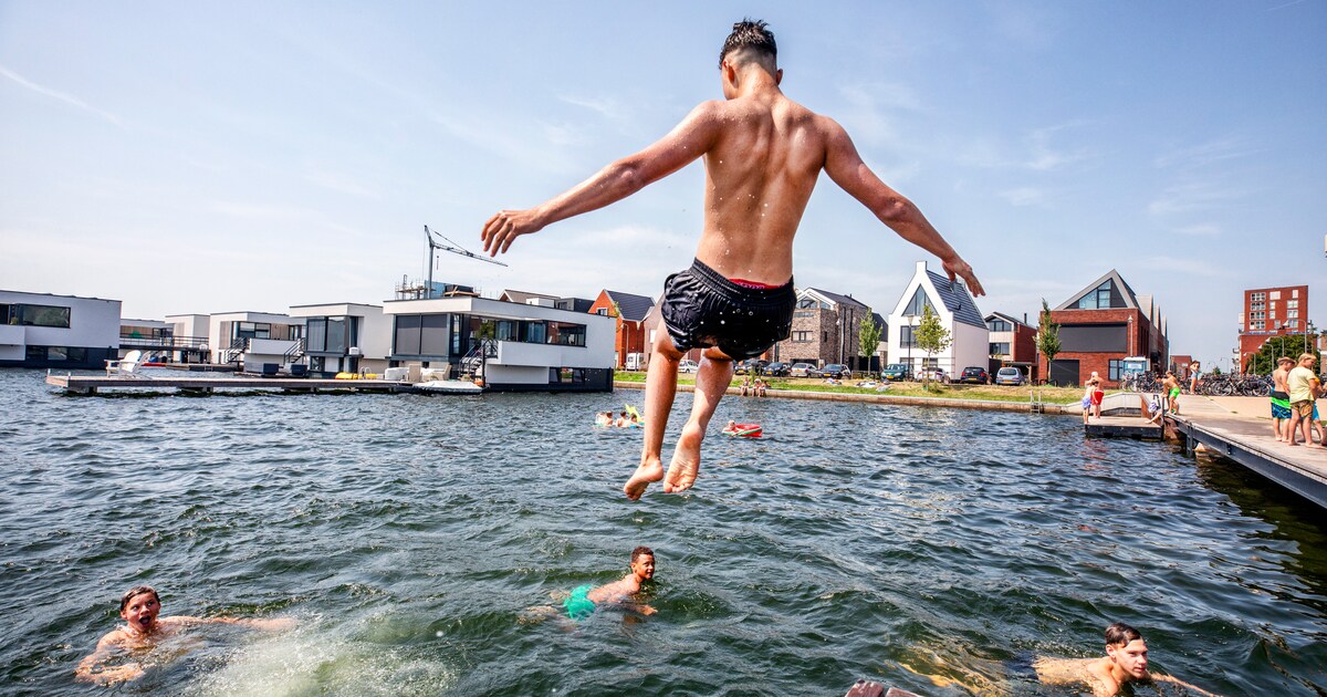 De Slag Om Een Woerdense Zonneweide ‘als Je Een Steiger Plaatst Dan Weet Je Toch Dat Daar