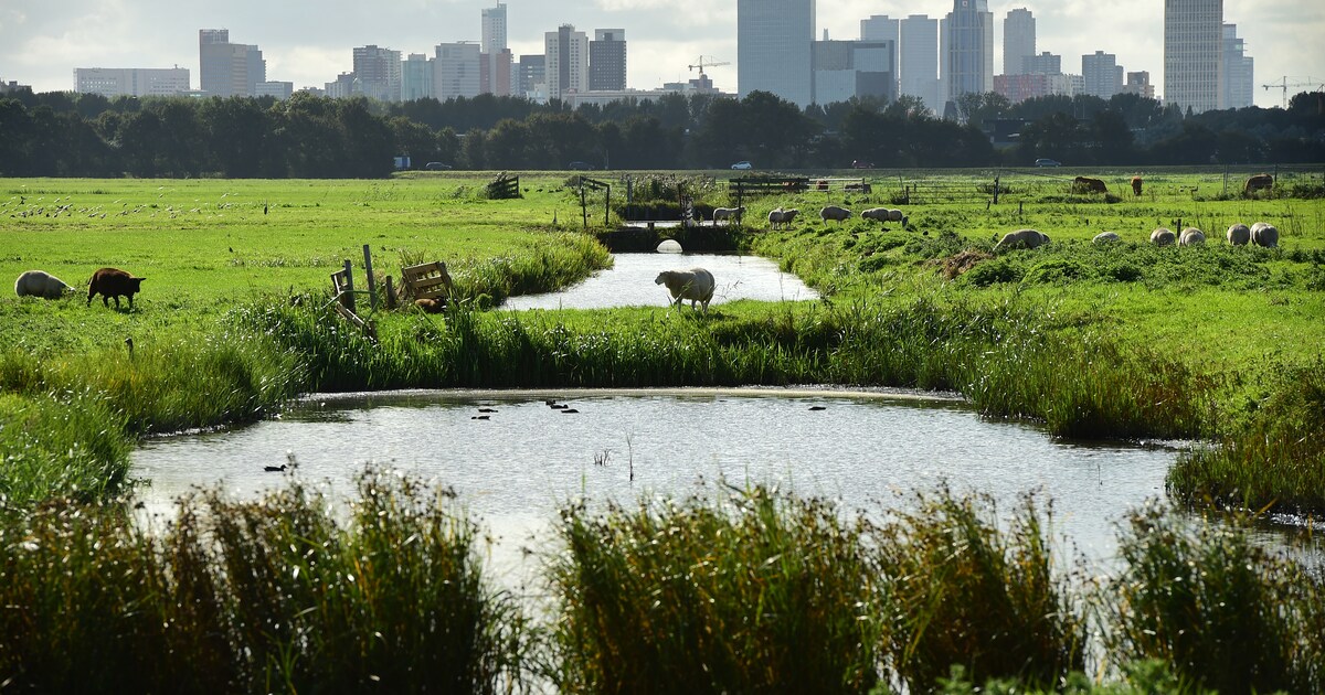De kloof tussen stad in platteland in vier kaarten | de Volkskrant
