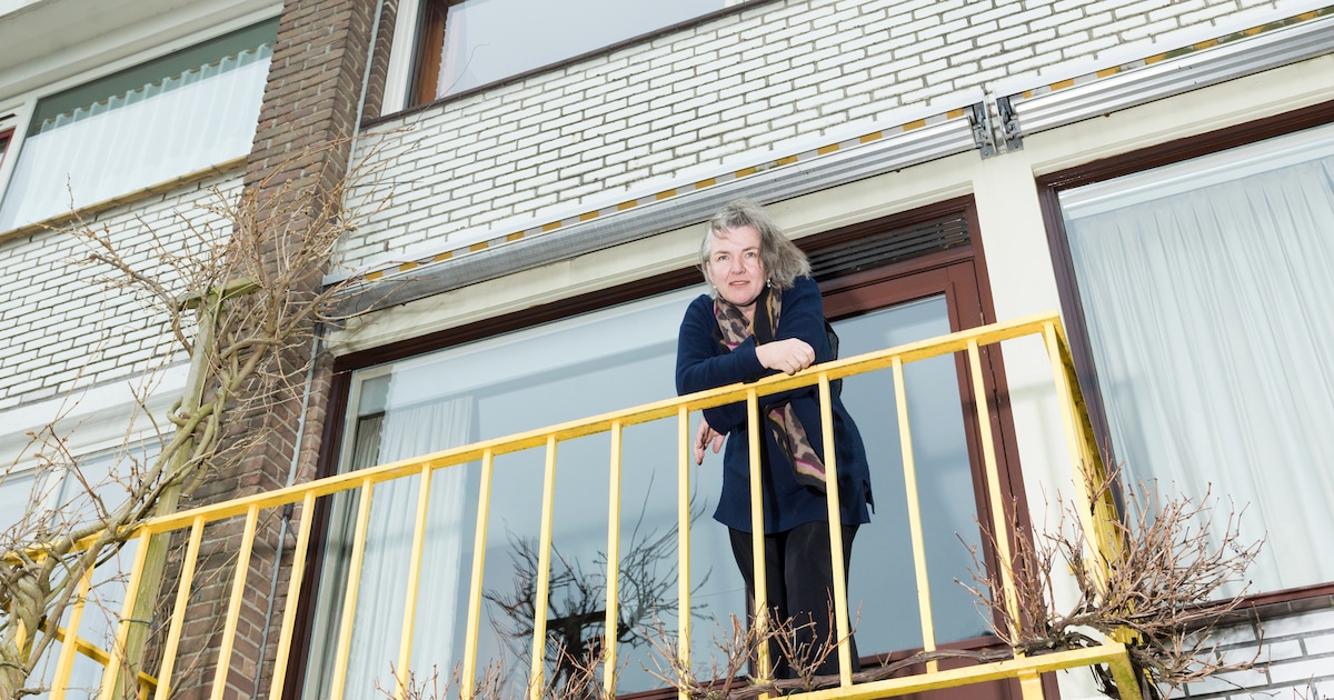 Schrijver Nicolien Mizee in haar werkkamer: ‘Die smurf met de ganzeveer ...