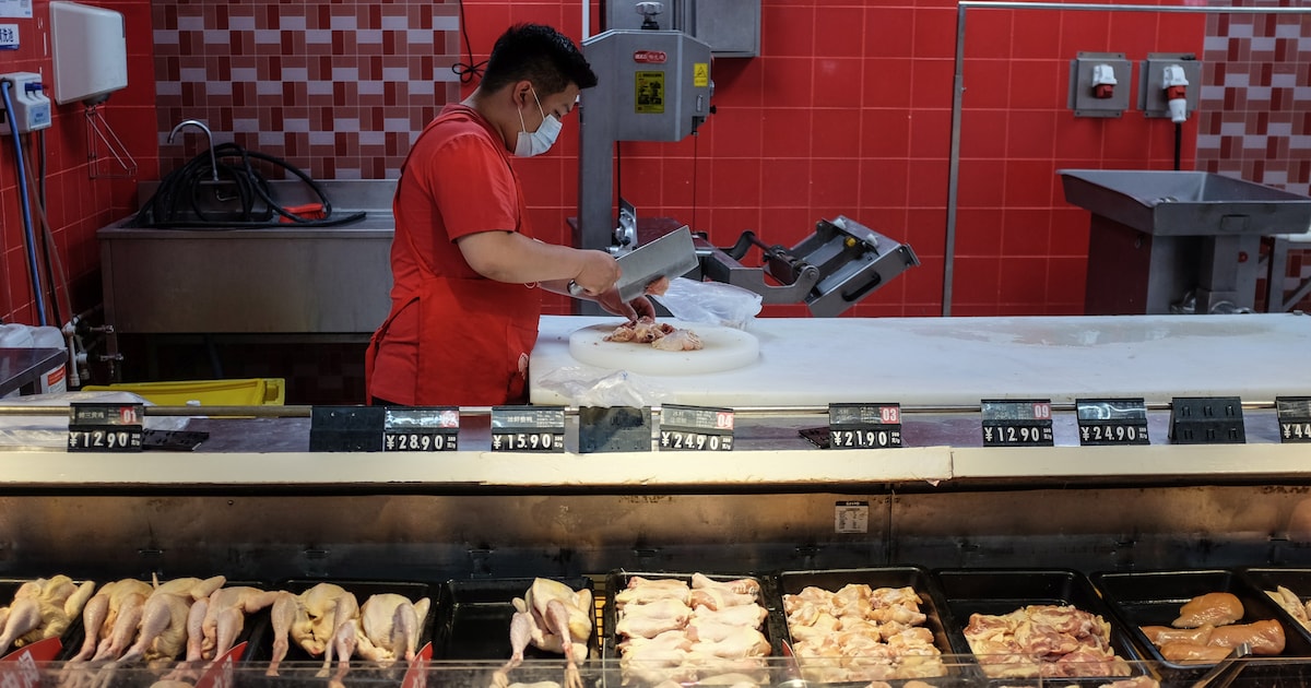Seberapa khawatir kita terhadap daging ayam yang terkontaminasi corona?