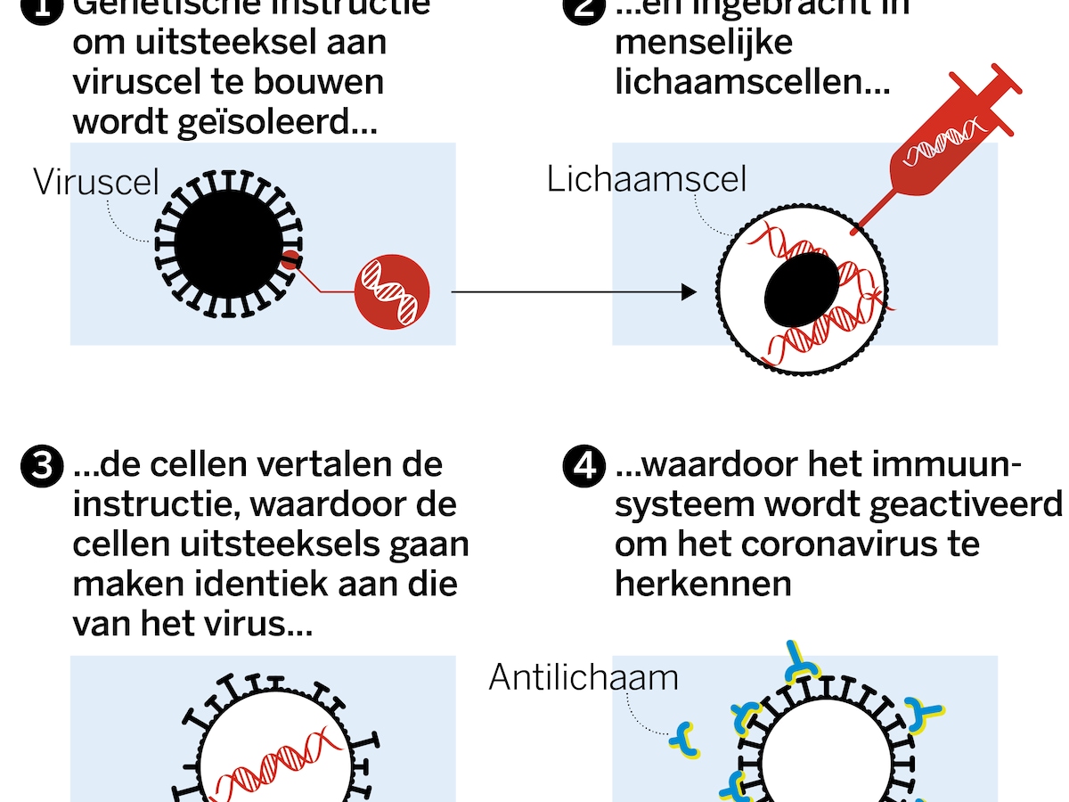 Kunnen we komende zomer weer naar een festival? Acht prangende vragen over  hét vaccin | de Volkskrant