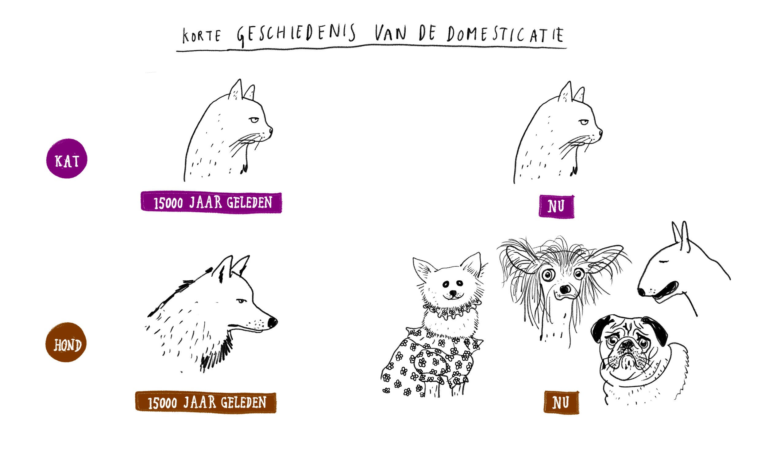 Weekdier | de Volkskrant