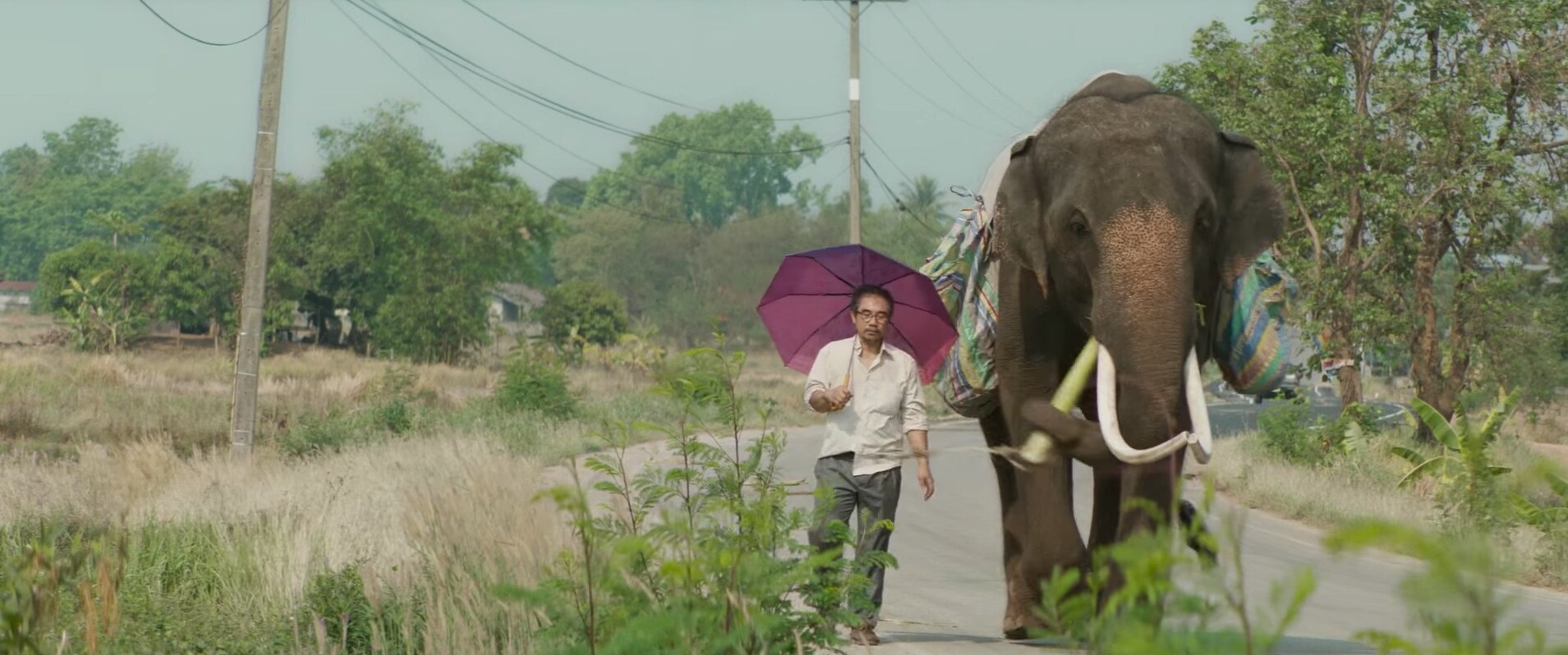 De Volkskrant Tv Selectie Voor Zaterdag 23 Januari De Volkskrant Thaneth In Pop Aye Van Kirsten Tan