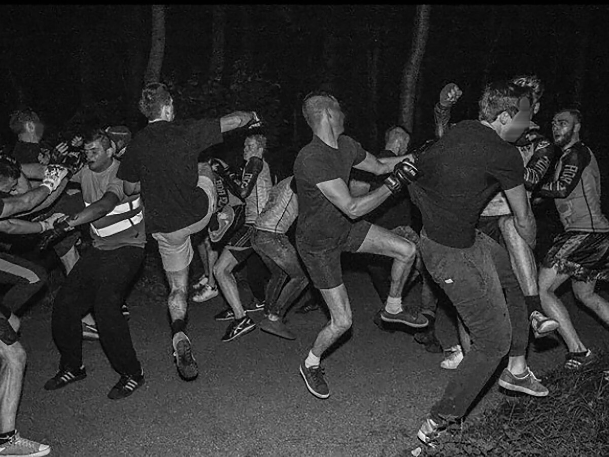 in-het-bos-zijn-de-wilde-dieren-knokken-voor-de-aardigheid