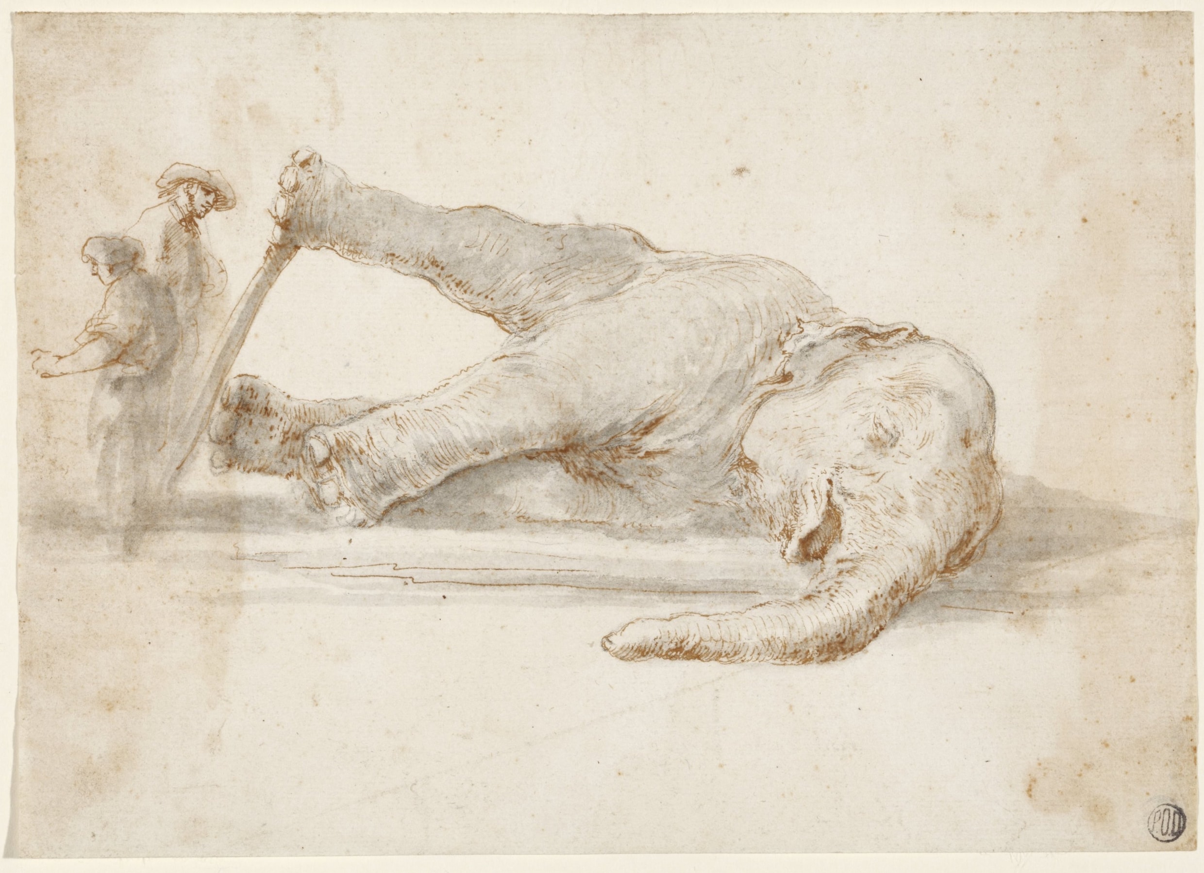 Olifant Hansken werd getekend door Rembrandt en stierf geketend op een ...