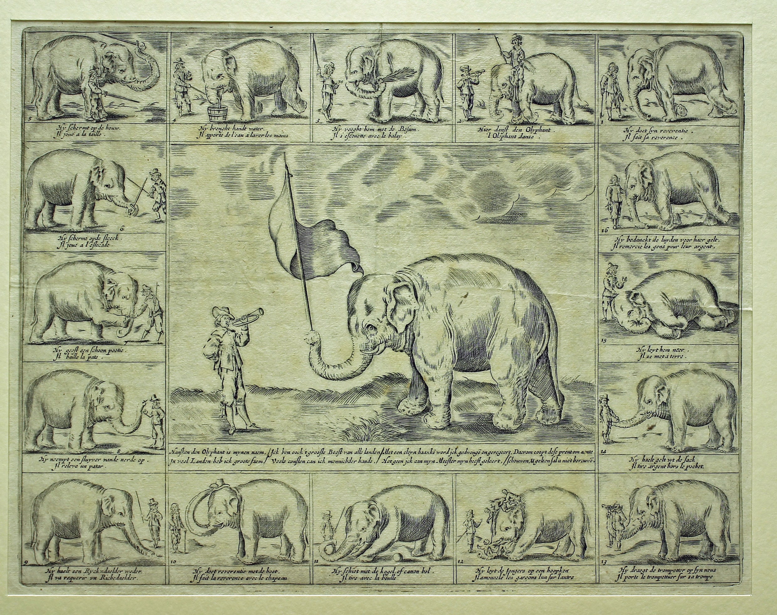 Olifant Hansken werd getekend door Rembrandt en stierf geketend op een ...
