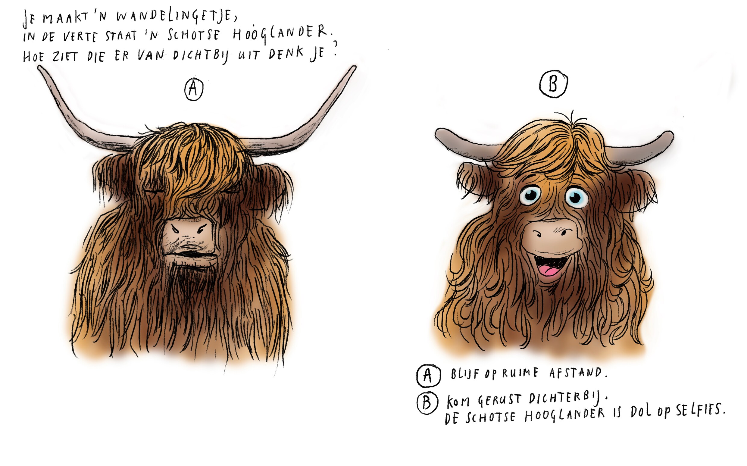 Weekdier | de Volkskrant