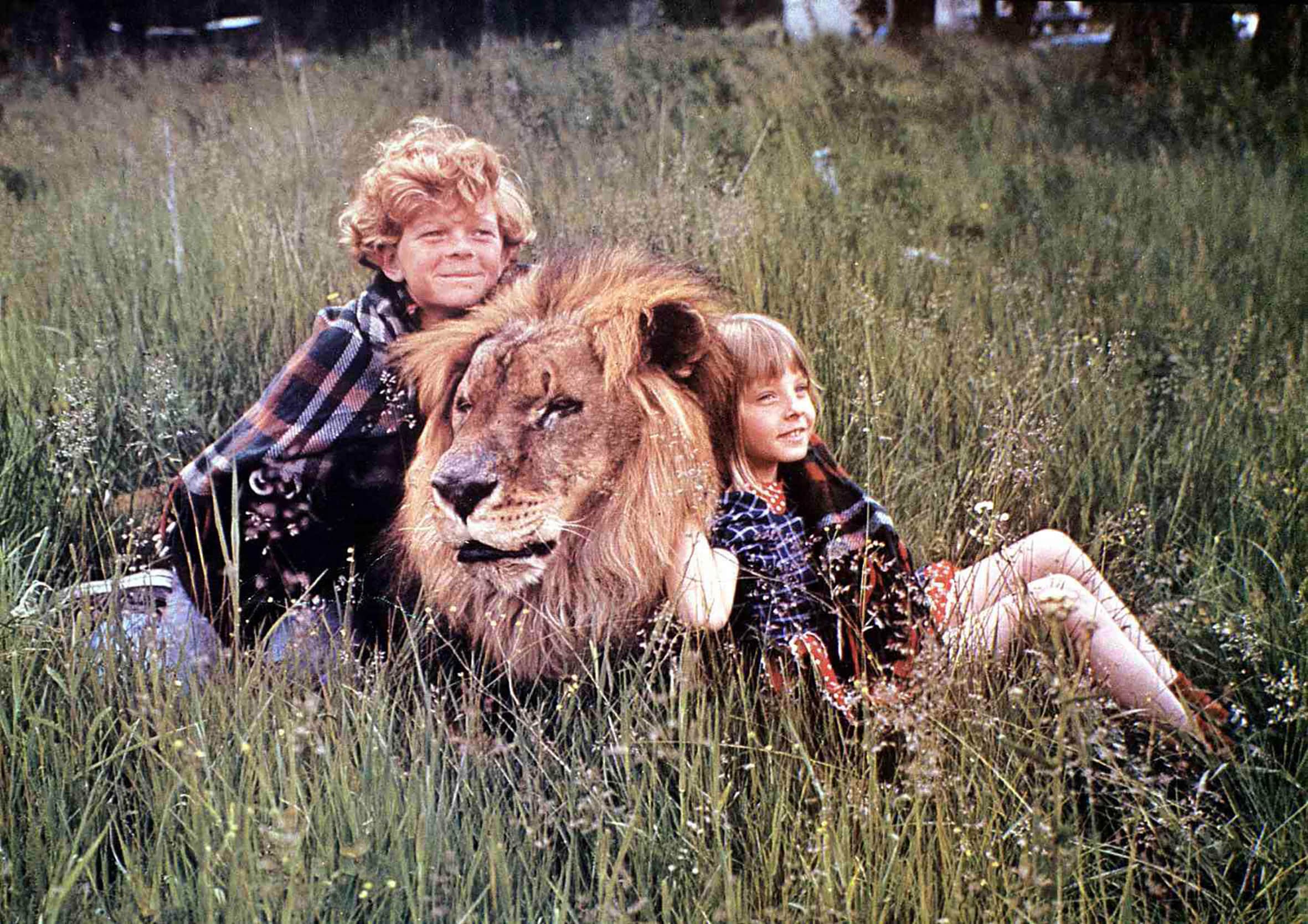 Napoleon and Samantha