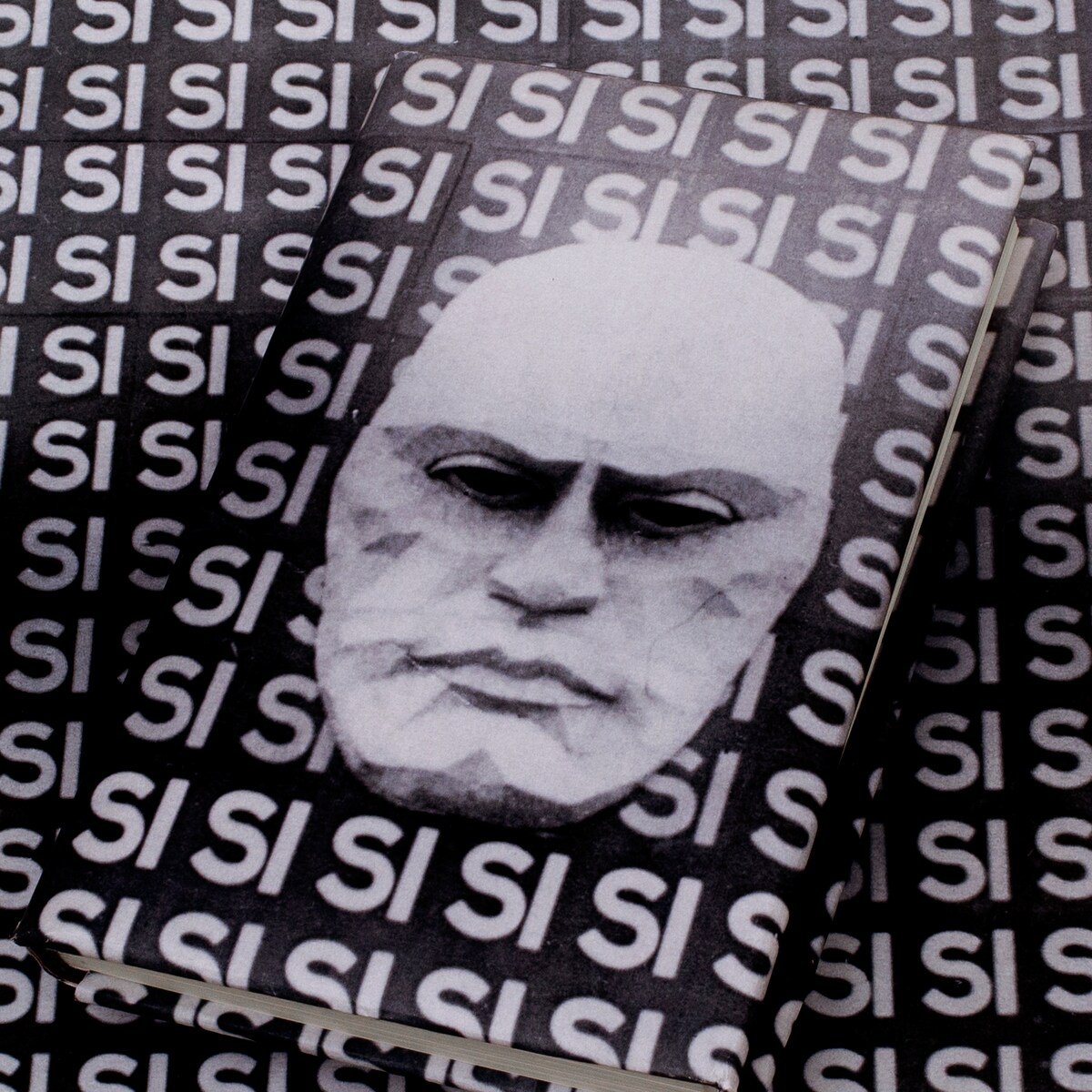 Je kunt niet iedere fascist zomaar een fascist noemen | de Volkskrant