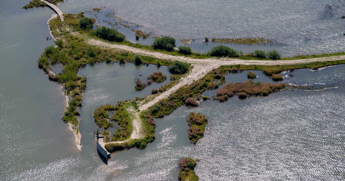 Opinie: Inpolderen Markermeer biedt meer ruimte én minder stikstofproblemen