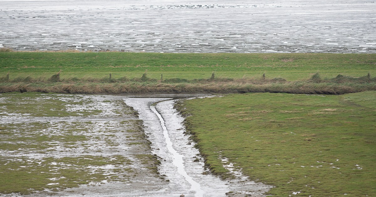 Gaswinning onder Waddenzee vanuit Ternaard is geen goed idee, zegt toezichthouder