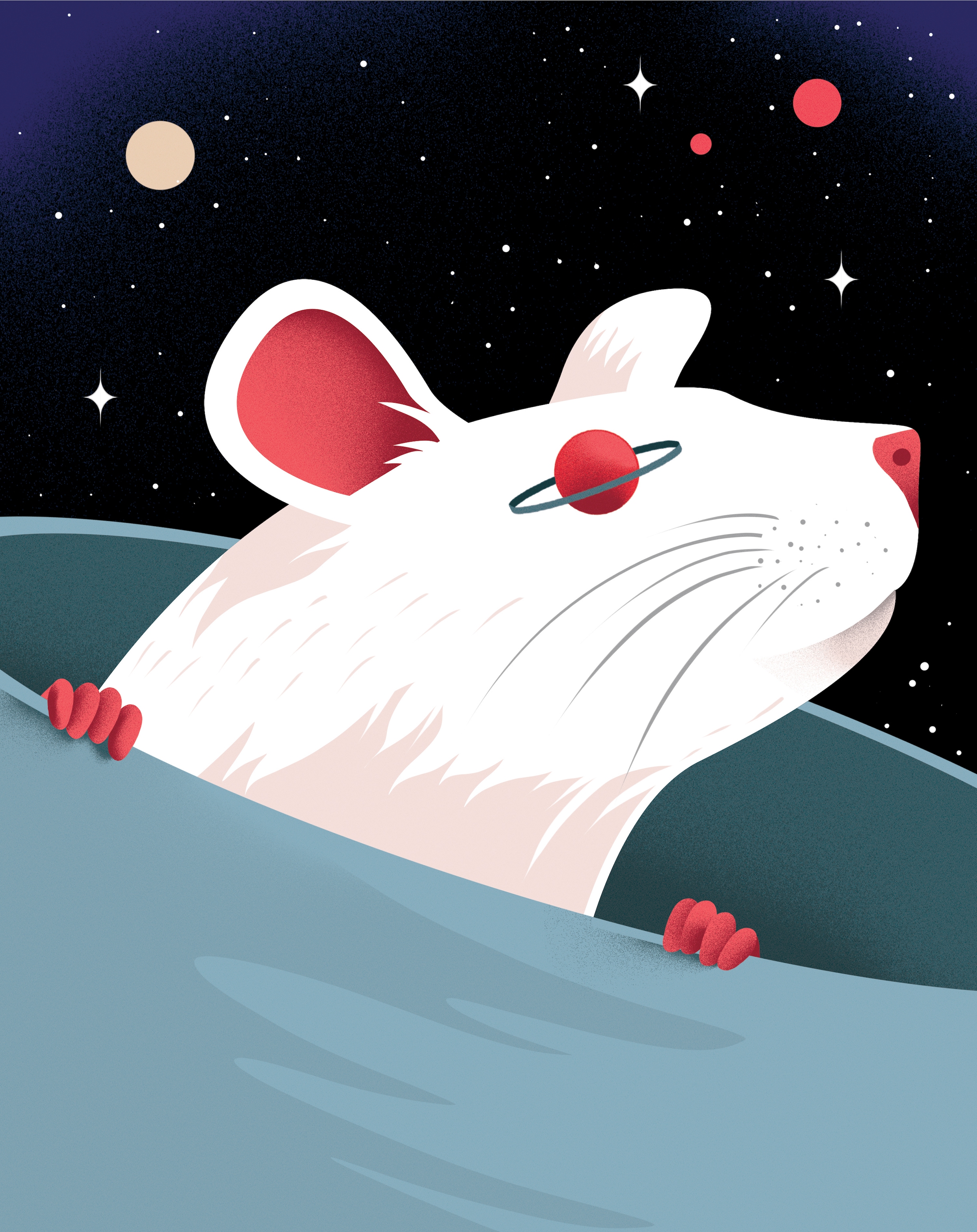 Inleven is de sleutel tot beter samenleven | de Volkskrant