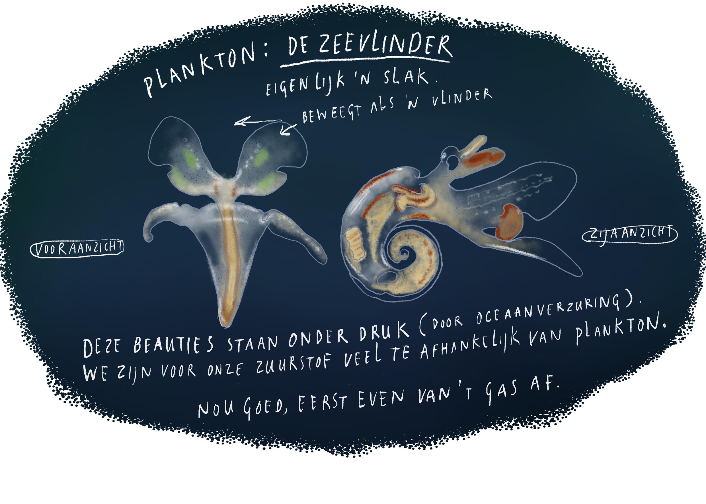 Weekdier | de Volkskrant