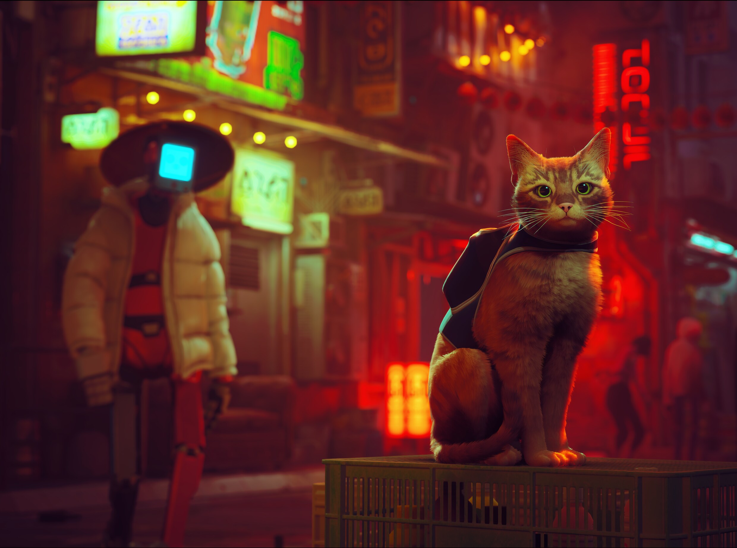 Voor Stray hoef je geen gamer te zijn, zolang je maar een kattenmens ...