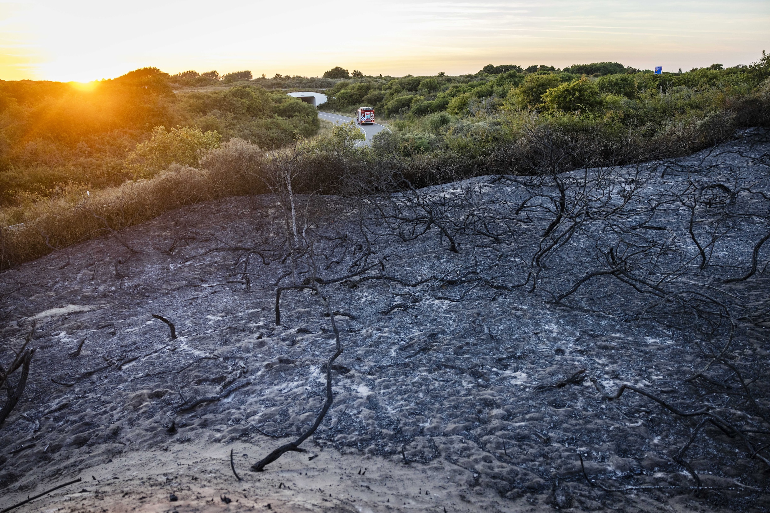Komende dagen grote kans op hittegolf, RIVM stelt voor tweede keer dit ...