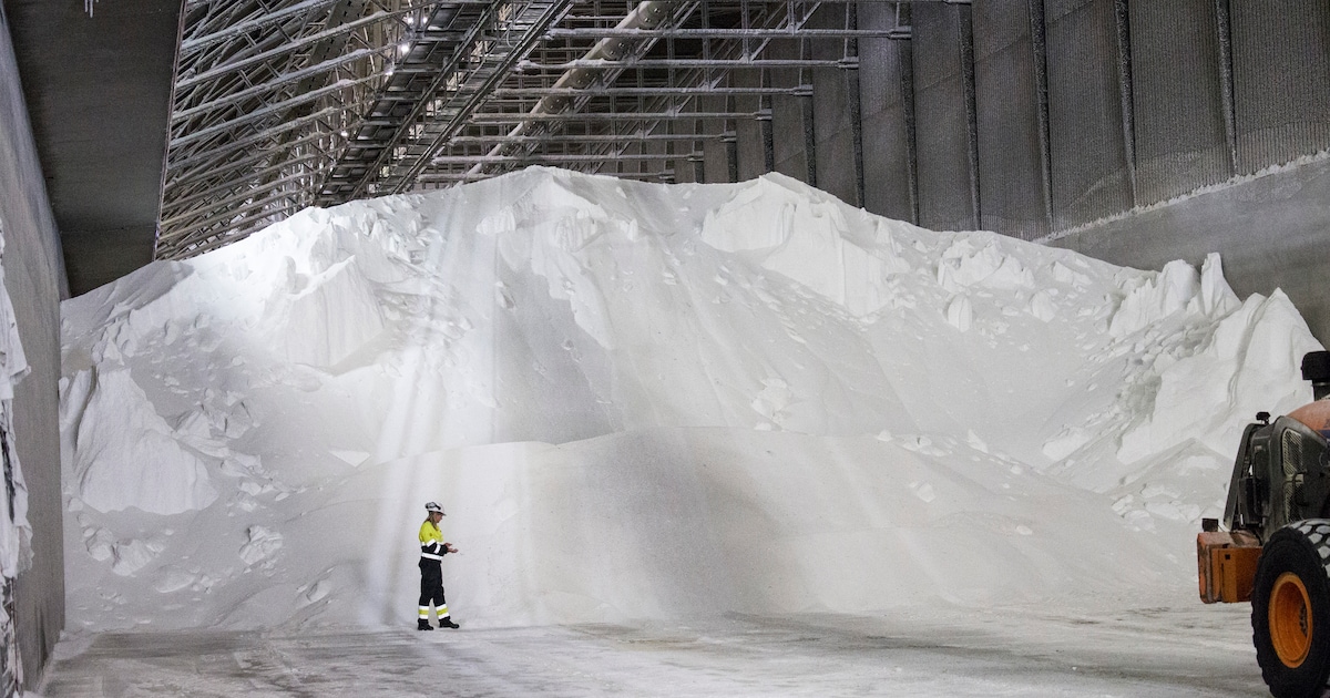 Air Liquide schikt een beetje in en maakt zo ruimte op stroomnet voor andere bedrijven in Zeeland