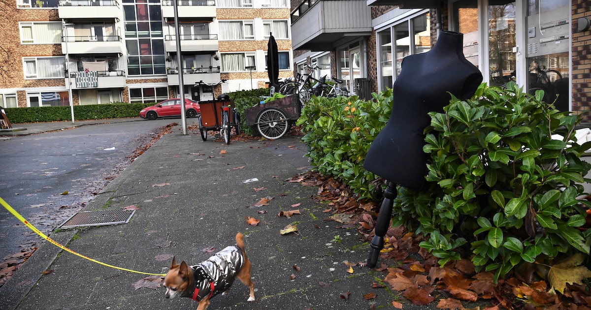 Utrecht Overvecht Als Eerste Gedwongen Van Het Gas Af Waarom Gebeurt