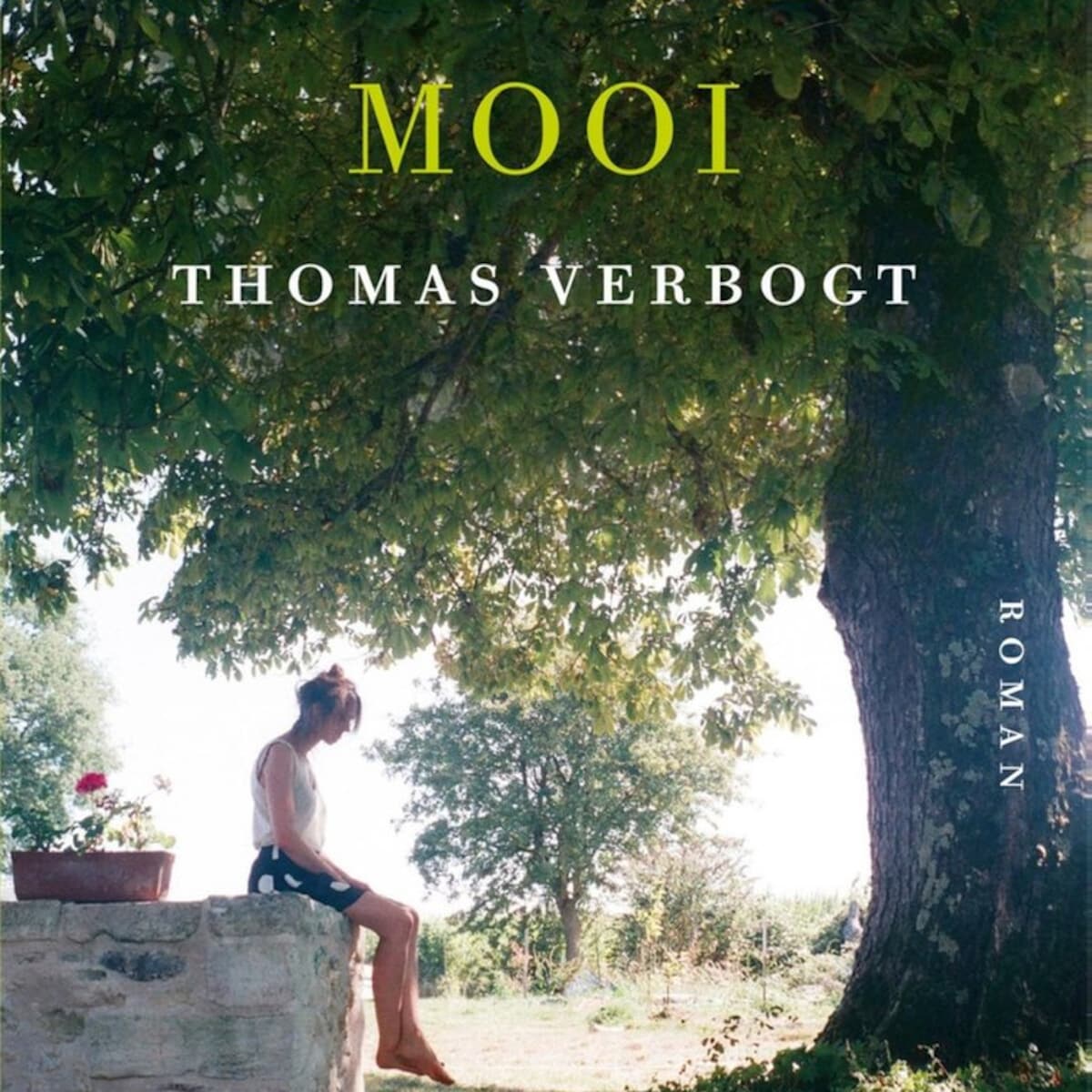 Recensie: Thomas Verbogt schreef een impressionistische roman | de  Volkskrant