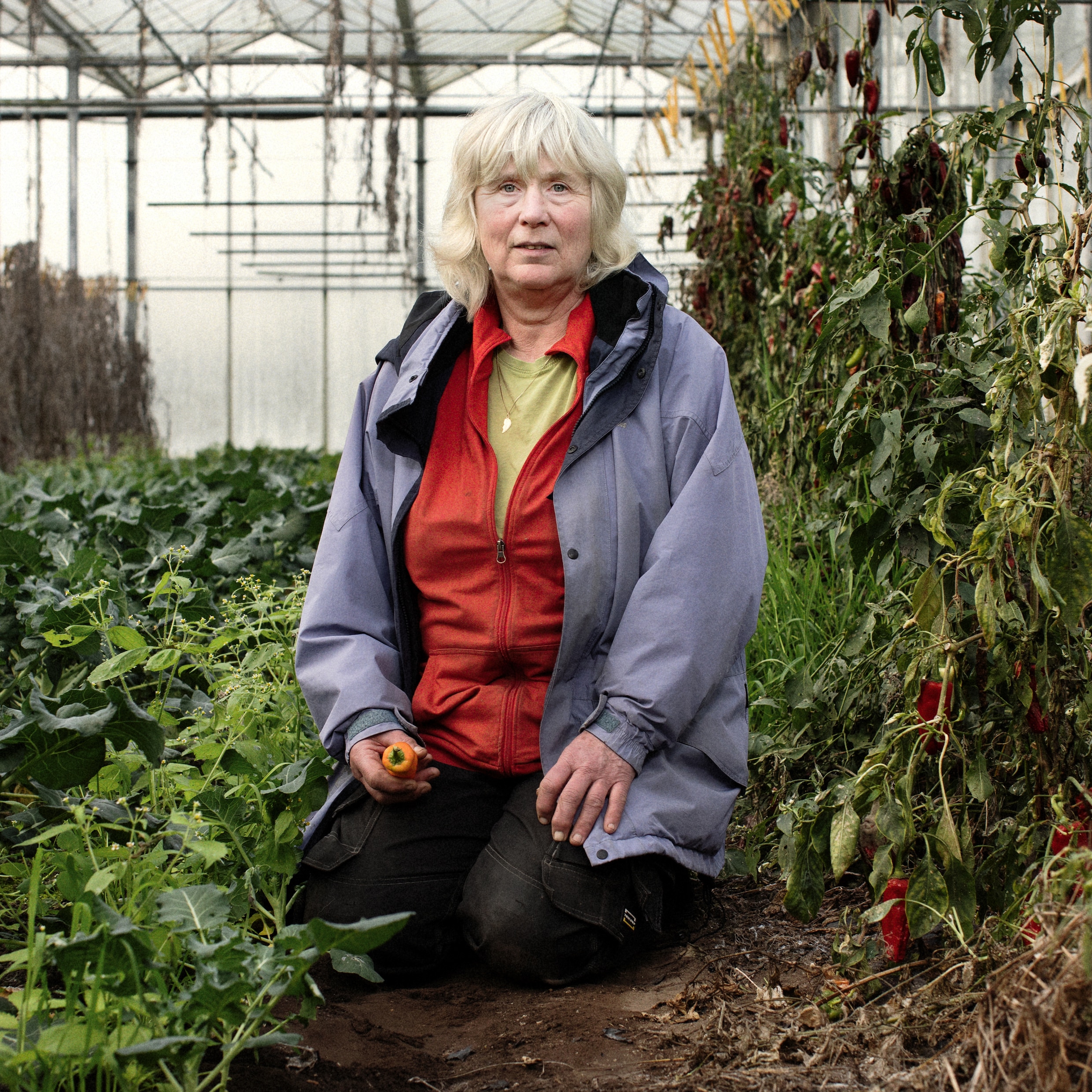 in-de-groenteboerderij-van-ellie-gaat-het-nog-gewoon-zoals-vroeger-met