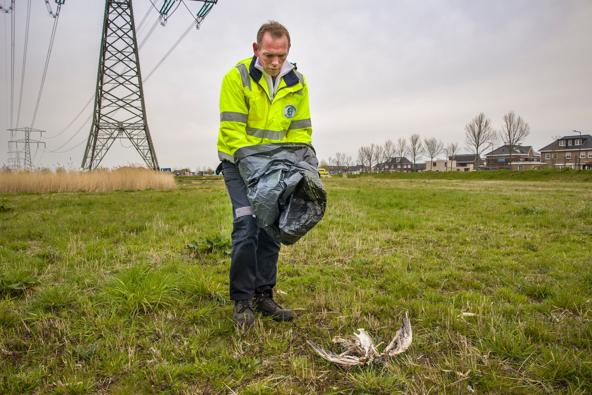 Dierenambulances kunnen de vogelgriep niet bijbenen: ‘Het verspreidt ...