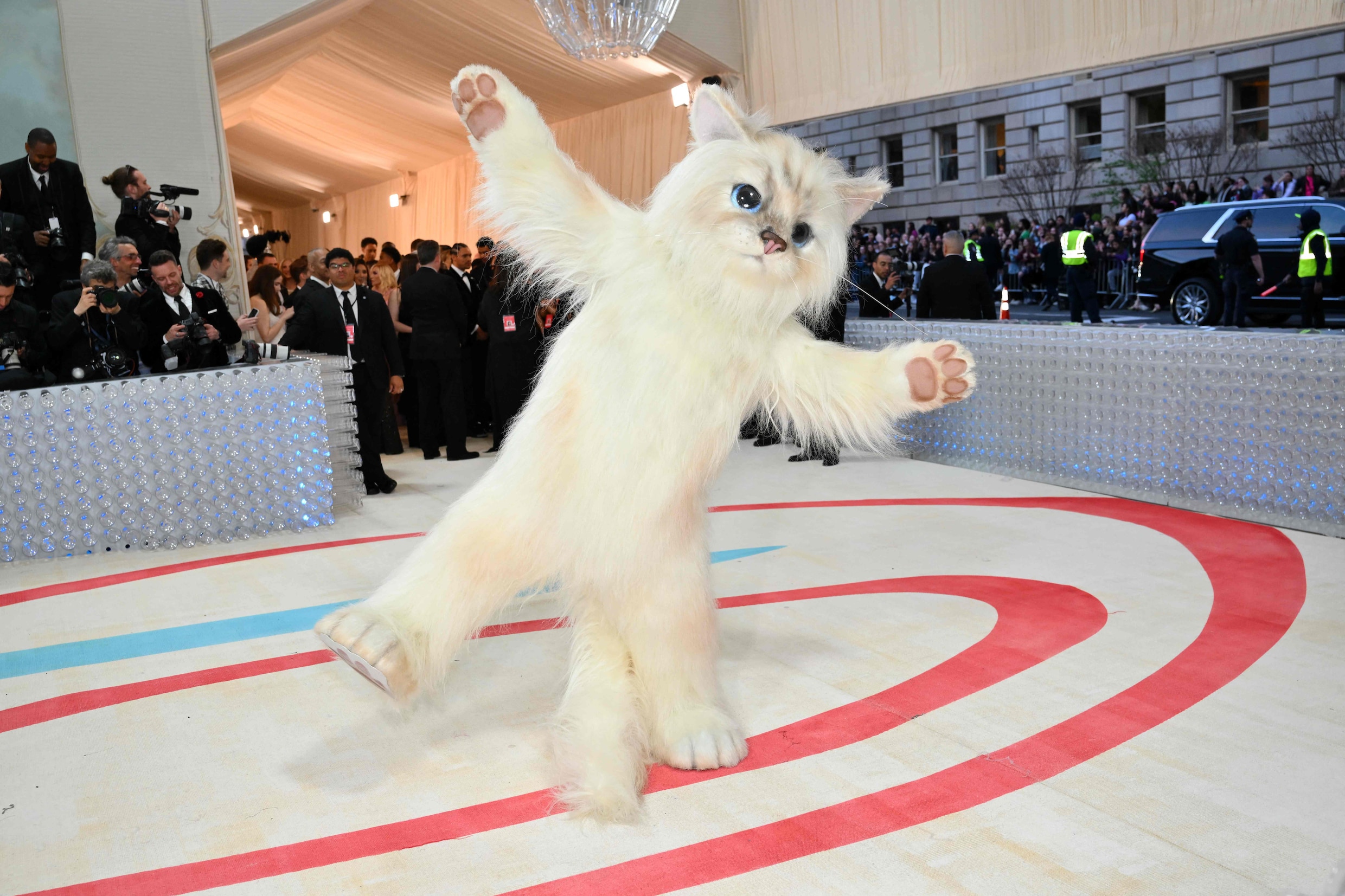 Choupette steelt de spotlight van baasje Karl Lagerfeld: poezenoutfits ...